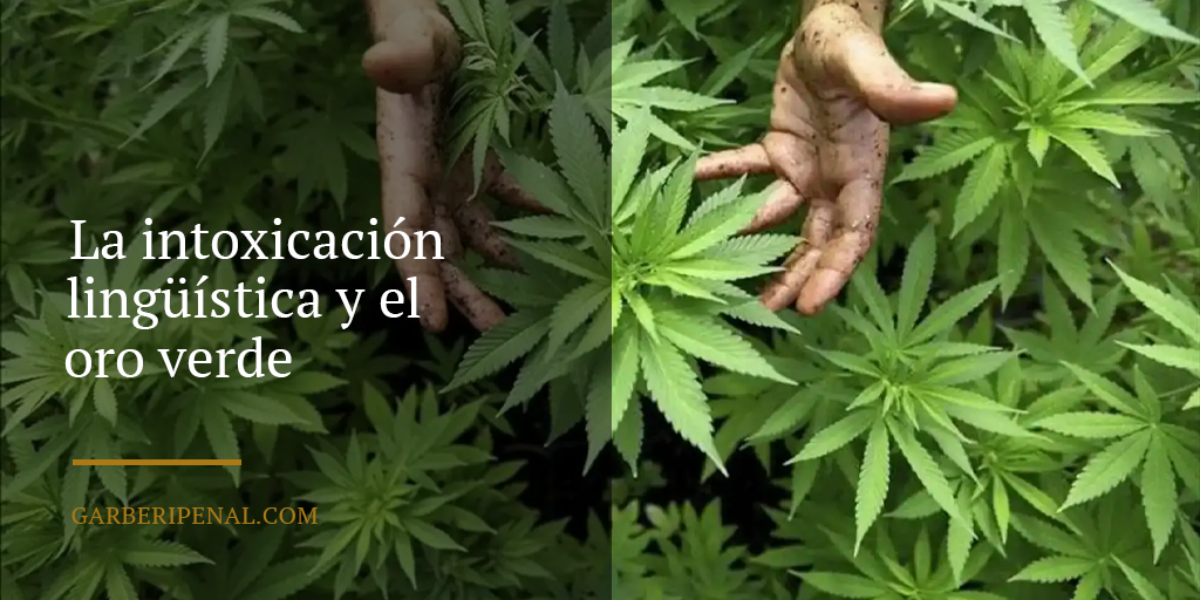 El oro verde