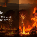 delito de incendios